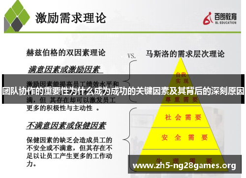 团队协作的重要性为什么成为成功的关键因素及其背后的深刻原因