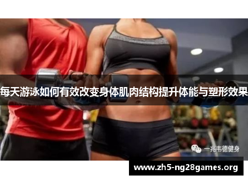 每天游泳如何有效改变身体肌肉结构提升体能与塑形效果