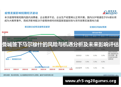 曼城签下马尔穆什的风险与机遇分析及未来影响评估