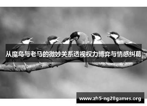 从魔鸟与老马的微妙关系透视权力博弈与情感纠葛